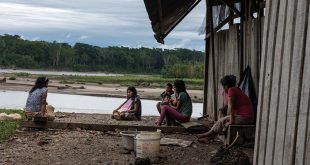 Madre de Dios: Carretera afectará pueblos en aislamiento, comunidades nativas y áreas naturales protegidas