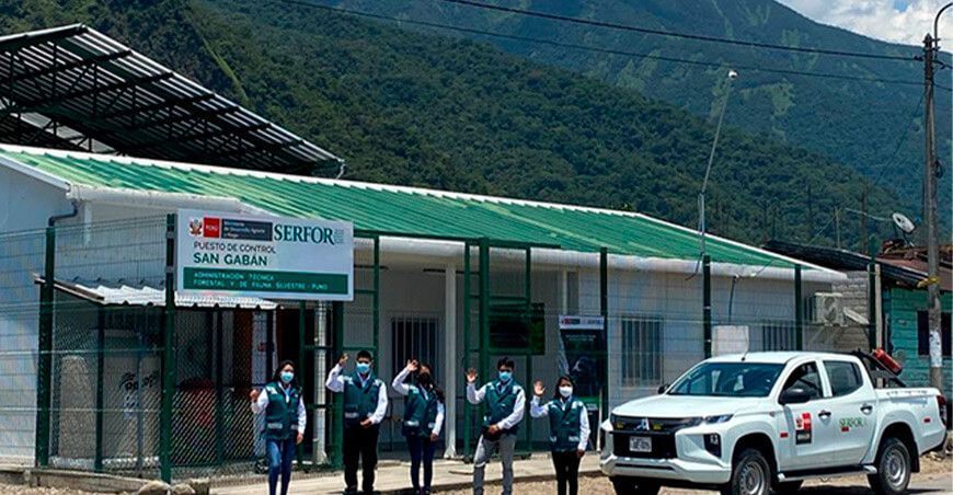 Serfor mejora el control y vigilancia forestal y de fauna en Puno