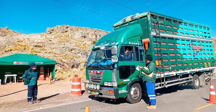 Puestos de control del Senasa protegen la producción porcina en Huancavelica