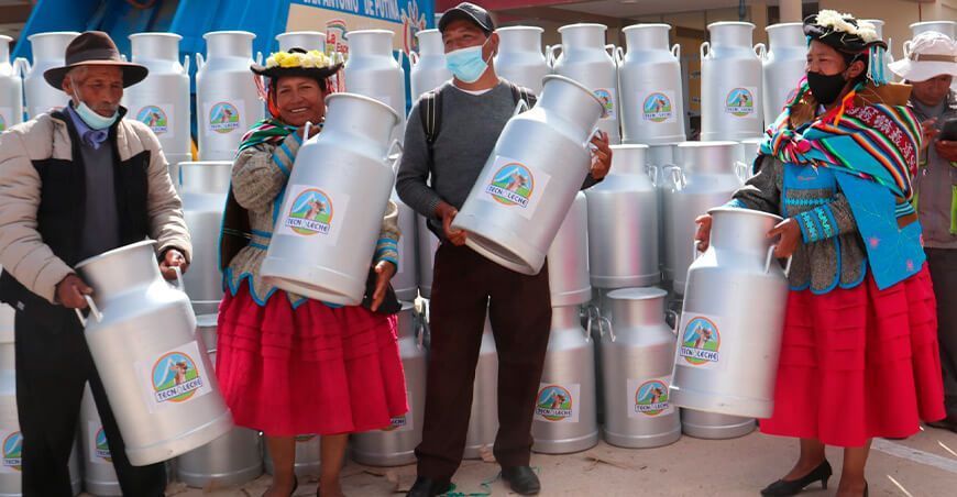 entregan porongos lecheros a productores de San Antonio Putina, Azángaro y Huancané