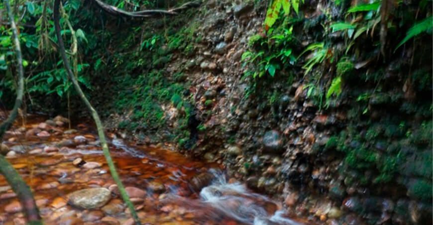 reconocen el Área de Conservación Privada “Fundo Miguel I”