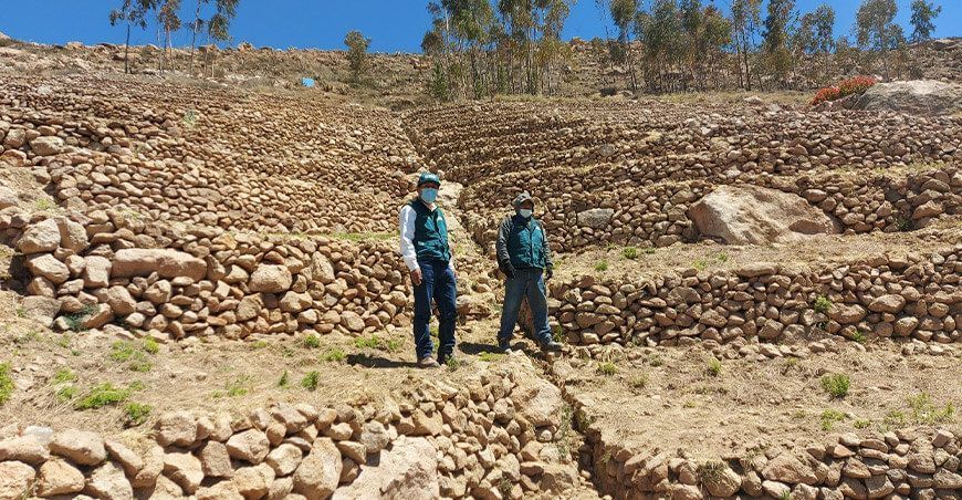 Tacna: Rehabilitan andenes para convertirlos en suelos agrícolas de alta productividad