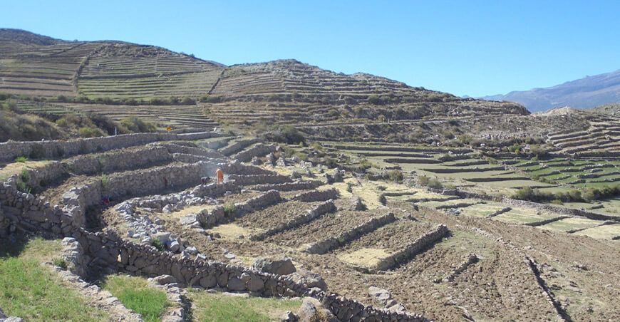 Recuperación de Andenes Perú