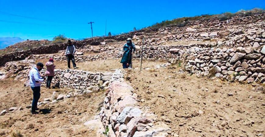 Convertirán andenes deteriorados en zonas agrícolas altamente productivas en Moquegua