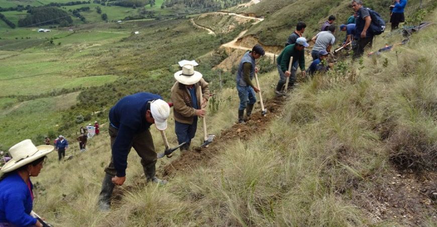 recuperarán praderas en Ayacucho Agro Rural Perú