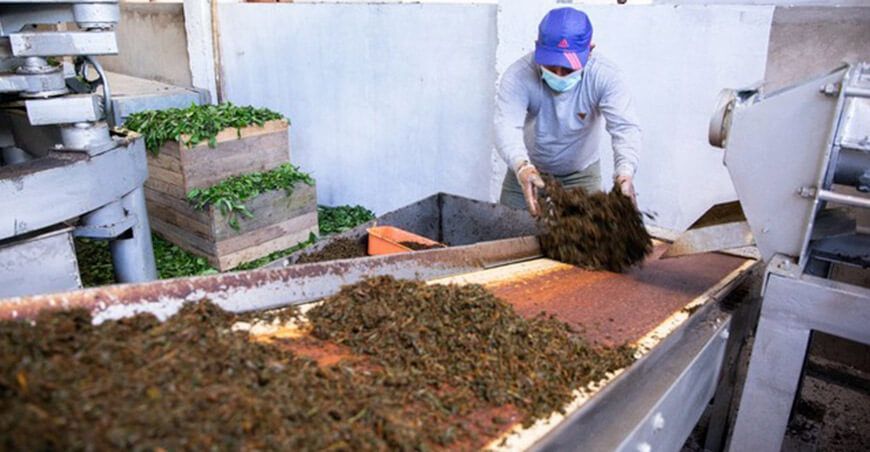 Impulsan buenas prácticas en prevención y reducción de pérdidas de alimentos