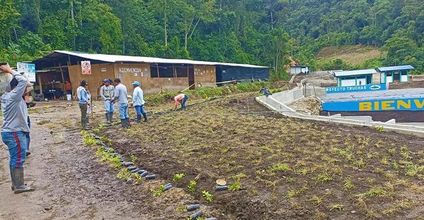 reforestan instalaciones del Proyecto Trucha