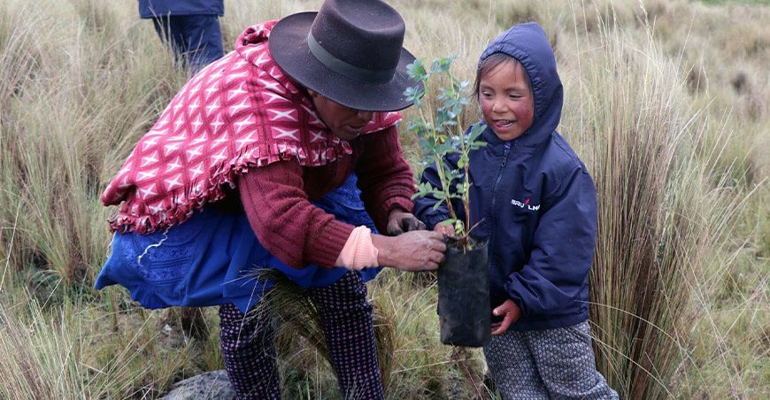 reforestación instalaron plantones de queñual en Ayacucho Perú