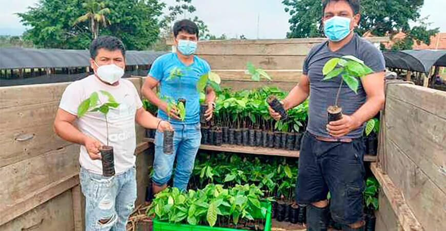 Gran cruzada por la Amazonía, día de sembrar