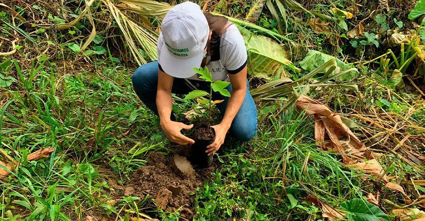 Ejecutarán proyecto “Rescatemos el pulmón de Juanjuí”