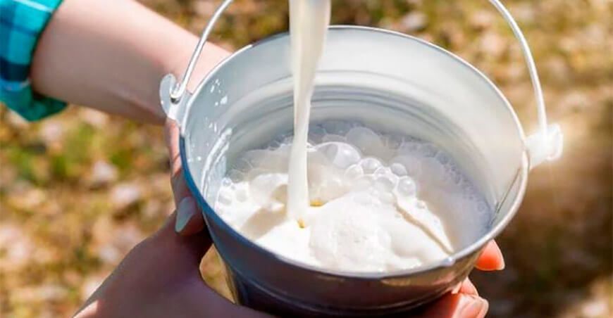 Reglamento de la leche