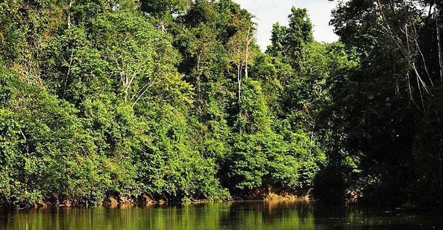Reserva Comunal Airo Pai ubicada en Loreto