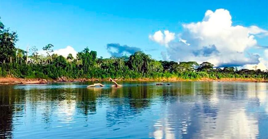 Inscriben a la Reserva Indígena Kakataibo Norte y Sur en la Sunarp