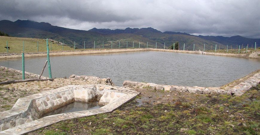 Reservorios, carreteras y ferrovías para desarrollar sierra y selva