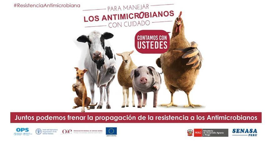 OMSA tiene cuatro pilares para evitar detener la propagación de resistencia antibacteriana