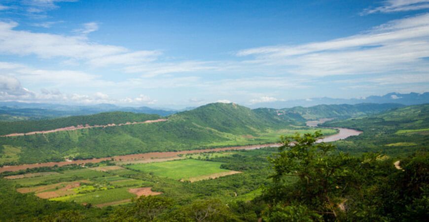 Restauración de Ecosistemas y Tierras Forestales Degradadas