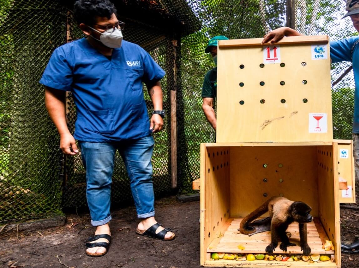 Serfor reubica especímenes de fauna silvestre en centros de crías para su rehabilitación