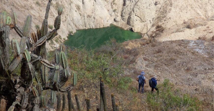 Lima: riego por inundación desestabiliza terrenos de cultivos en Manás, Cajatambo