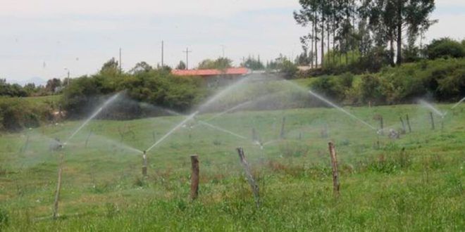 Asignan S/6 millones para proyecto de riego tecnificado en Cutervo en Cajamarca Perú