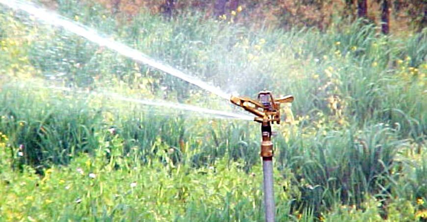 riego tecnificado producción de forraje y pastos Perú