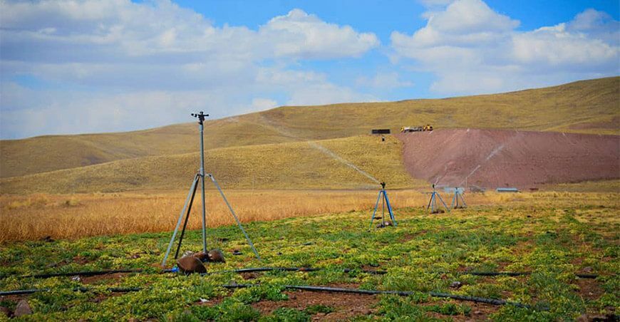 Pastos y forrajes cultivados mejorarán producción ganadera