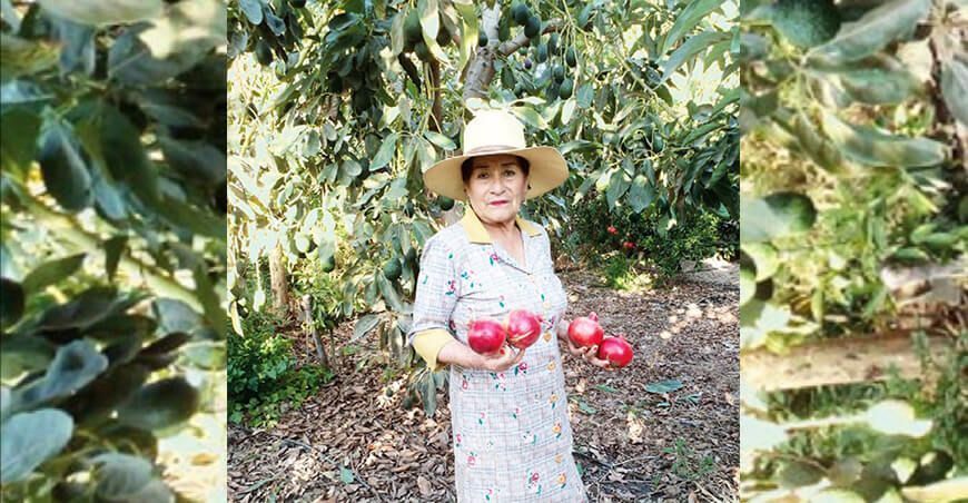 Rosa Salas cambió la ganadería lechera por la agroexportación
