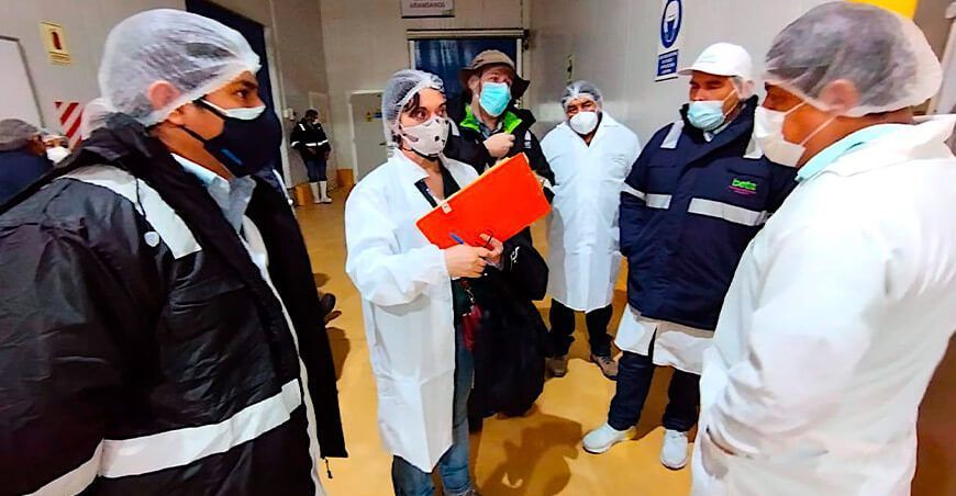 SAG Chile certificará nuevas empacadoras de arándanos en Perú