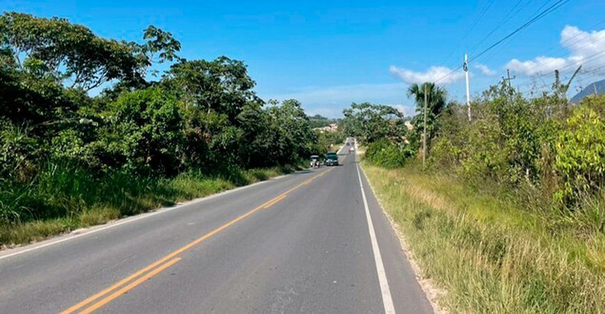 Carretera Fernando Belaúnde Terry será un gran corredor ecológico en San Martín