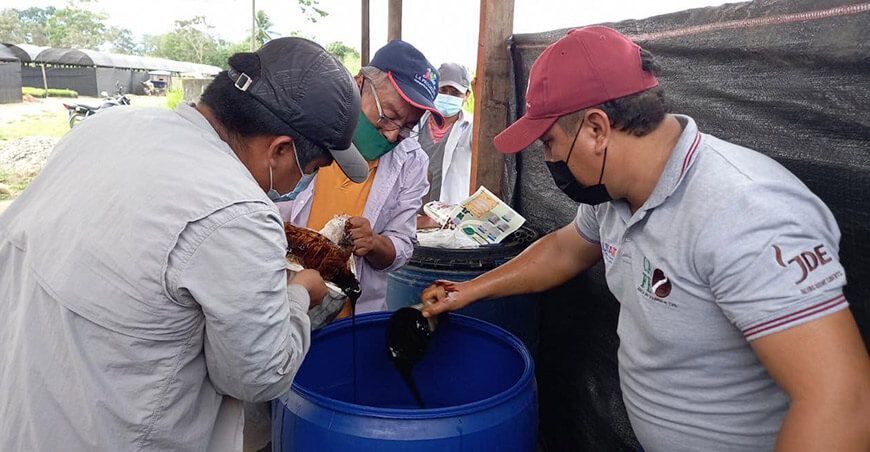 Módulo de biofertilizante para café