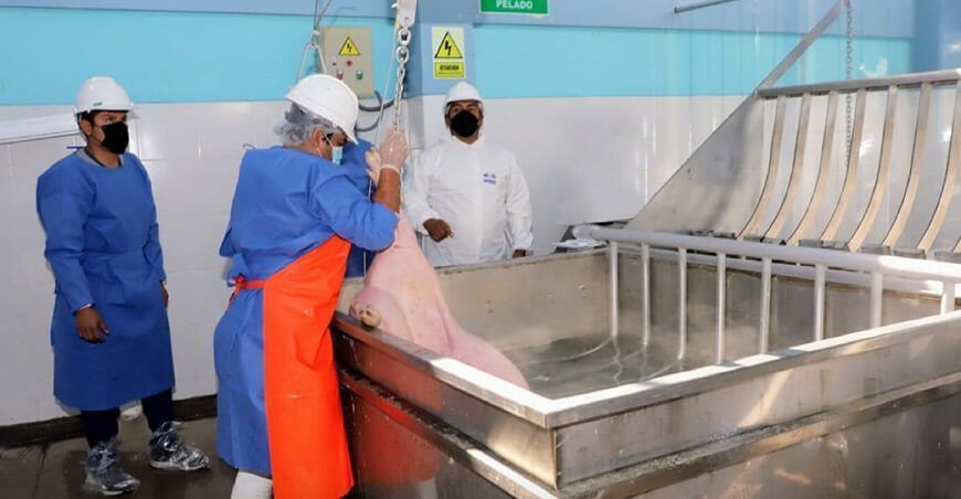 Alianza entre el Senasa y BID fortalecen la atención de la agricultura familiar