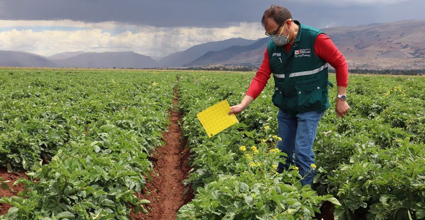 Día Internacional de la Sanidad Vegetal