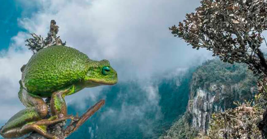 libro “Santuario Nacional Cordillera de Colán: un refugio de biodiversidad y cultura”