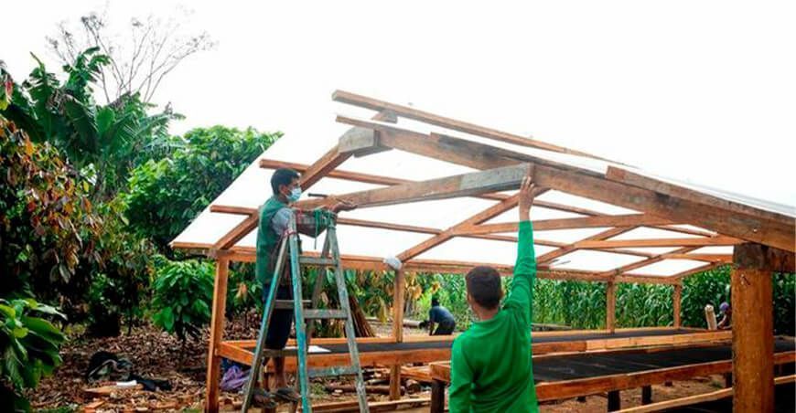 Implementan secadores solares de cacao en 10 distritos del Vraem