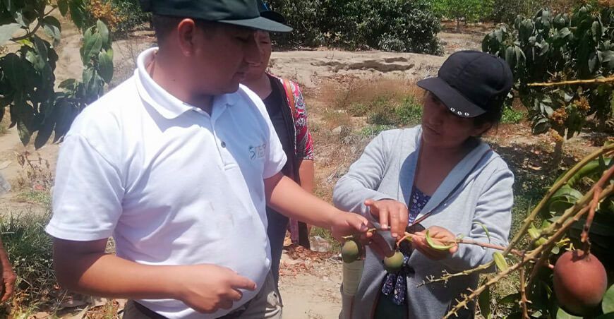 Sedir capacitó a mujeres del Valle de Nepeña Ancash