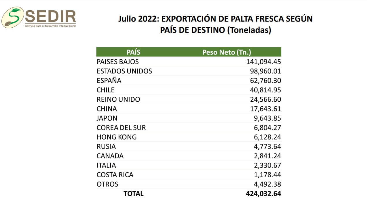 exportación de palta