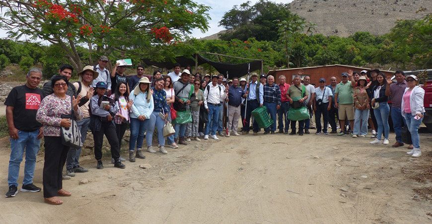 Productores y emprendedores culminaron capacitaciones sobre cultivo de palto en Moro Ancash Sedir Perú