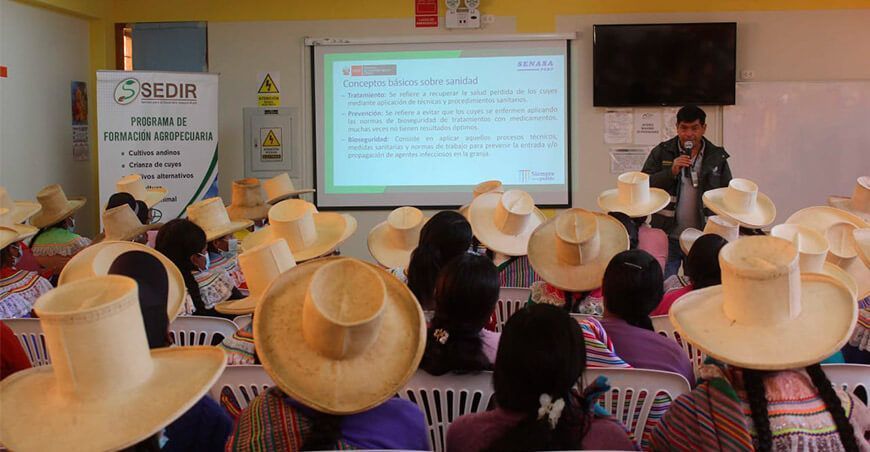 capacitan a mujeres en sanidad de cuyes Áncash