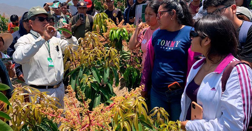 Ancash: Universitarios exploran campos de cultivos para estudiar el impacto del fenómeno El Niño