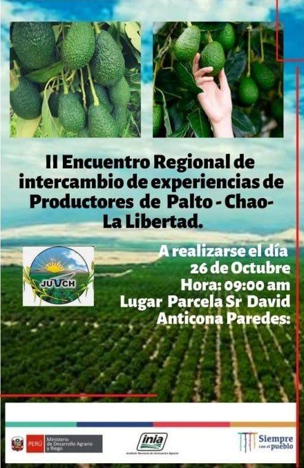 encuentro regional de intercambio de experiencias de productores de palta en Chao