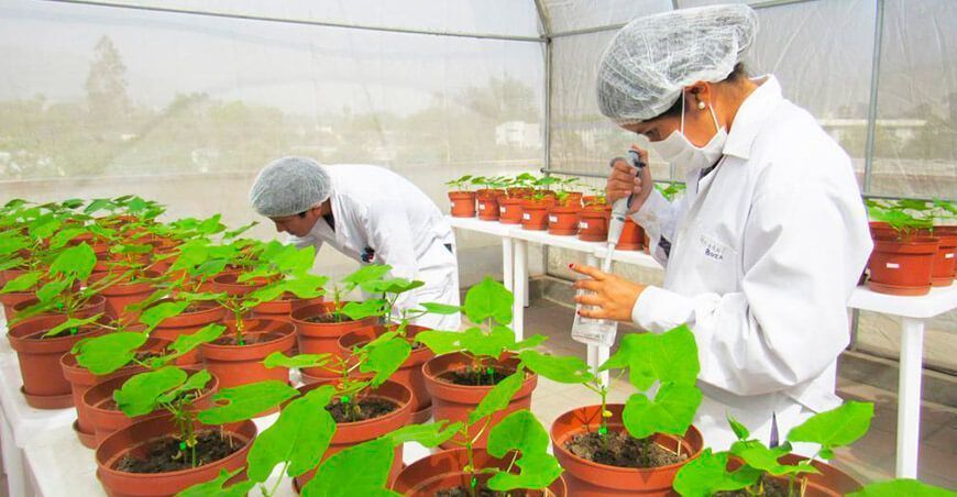 UNALM presentará iniciativas para enfrentar El Niño e inseguridad alimentaria