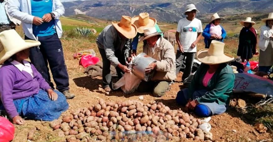 Ley de Seguridad Alimentaria y Nutricional