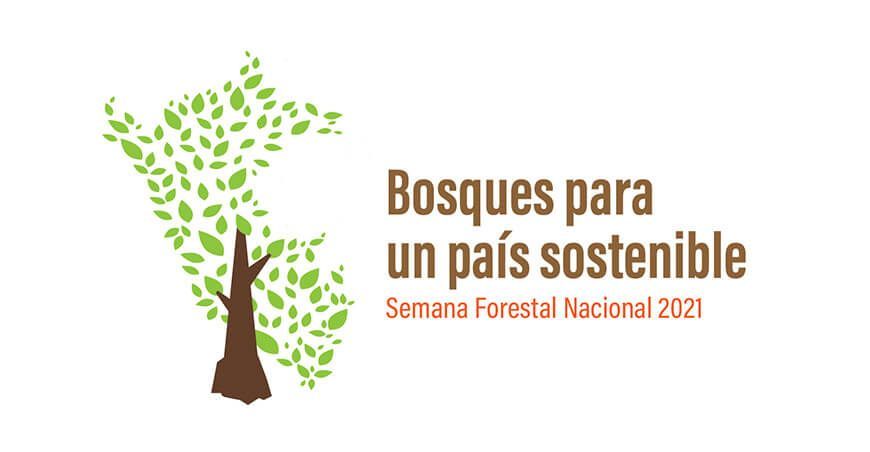 Semana Forestal Nacional 