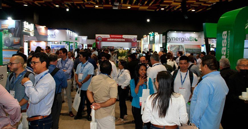 Seminario de Blueberries Perú