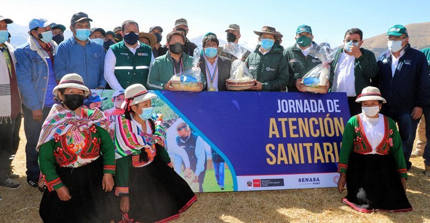 Cusco: Inician segunda etapa de vacunación de animales de abasto