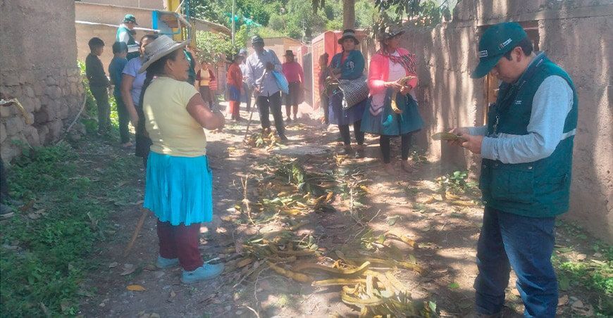 Fortalecen acciones para el control de la mosca de la fruta en Huancavelica