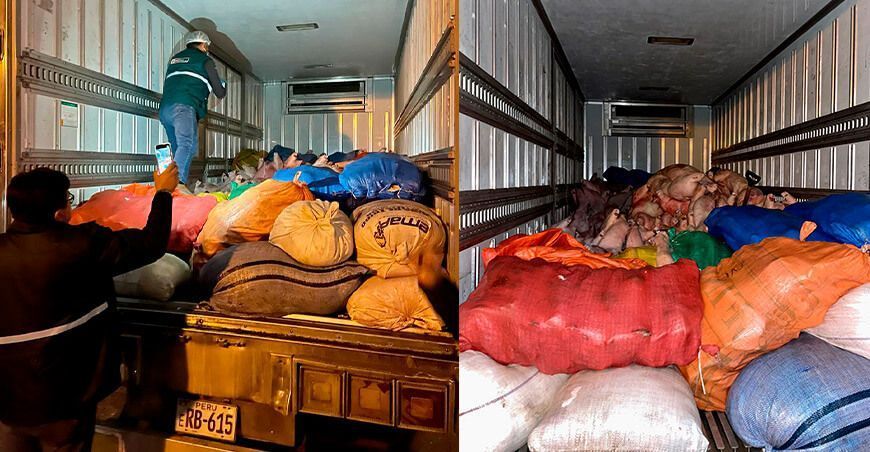 Senasa comisó carne de cerdo y menudencias de contrabando en Tacna