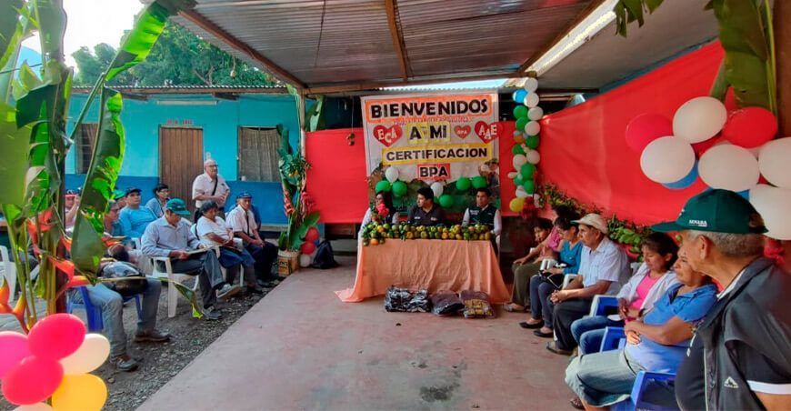 Senasa certificó 69 predios en Buenas Prácticas Agrícolas en Cusco Perú