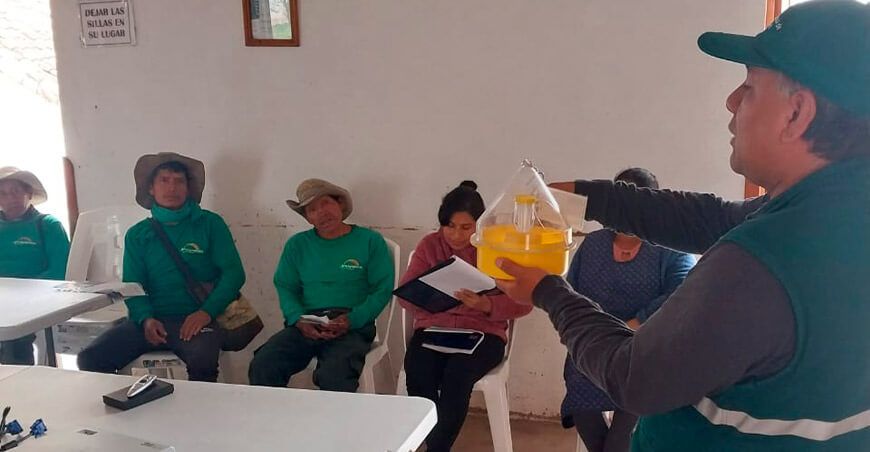 Senasa ejecuta jornadas de capacitación sobre erradicación de mosca de la fruta Cusco