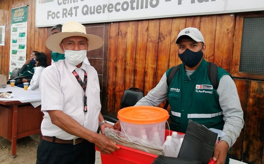 Refuerzan medidas para evitar diseminación del Fusarium R4T