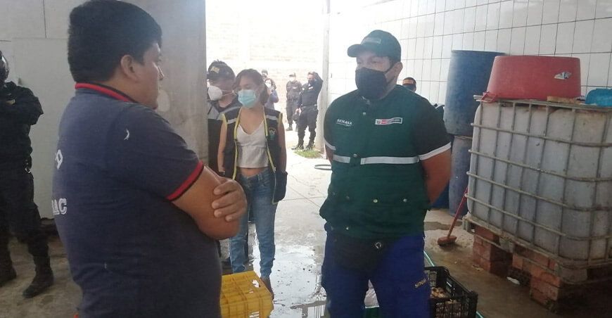 Lambayeque: verifican condiciones sanitarias en centros de faenamiento de aves